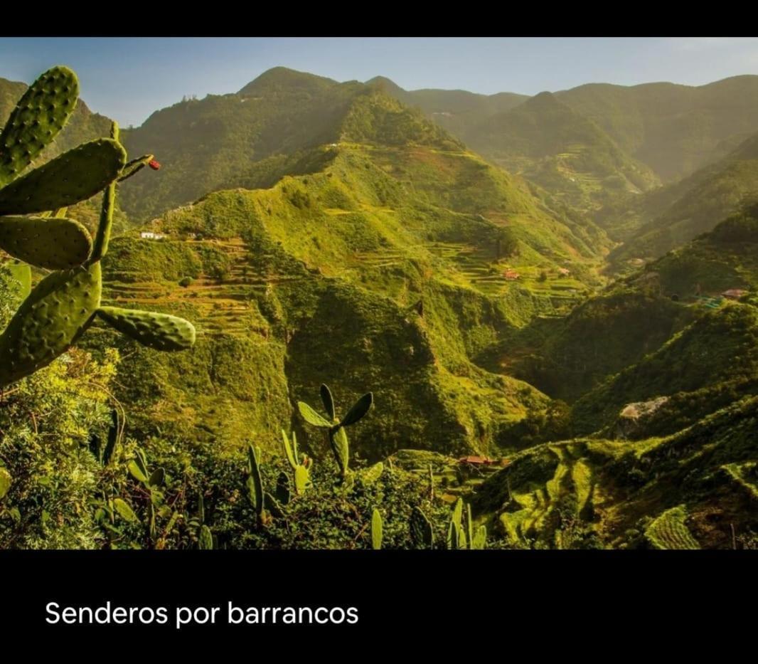 Playa Benijo Paraiso Rural Trail 圣克鲁斯-德特内里费 外观 照片